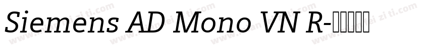 Siemens AD Mono VN R字体转换